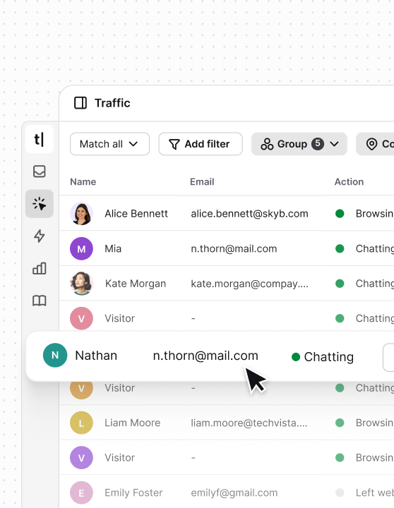 Traffic section in Text App, showing who’s currently browsing your website and who’s actively chatting.