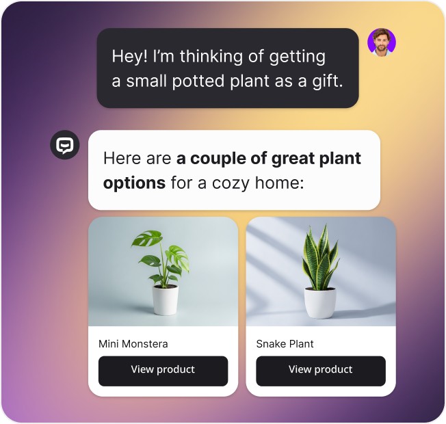 Text widget active chat view and product recommendations